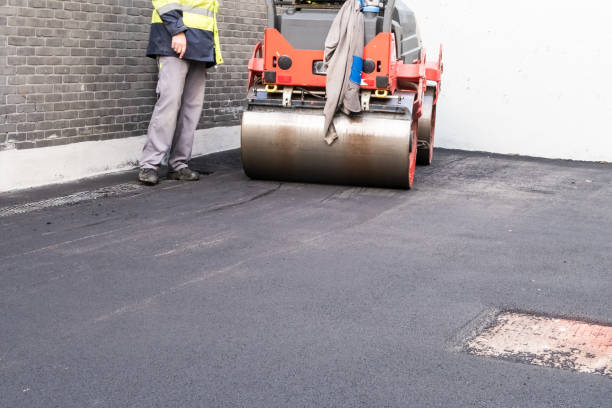 Best Permeable Paver Driveways  in Washington Park, FL